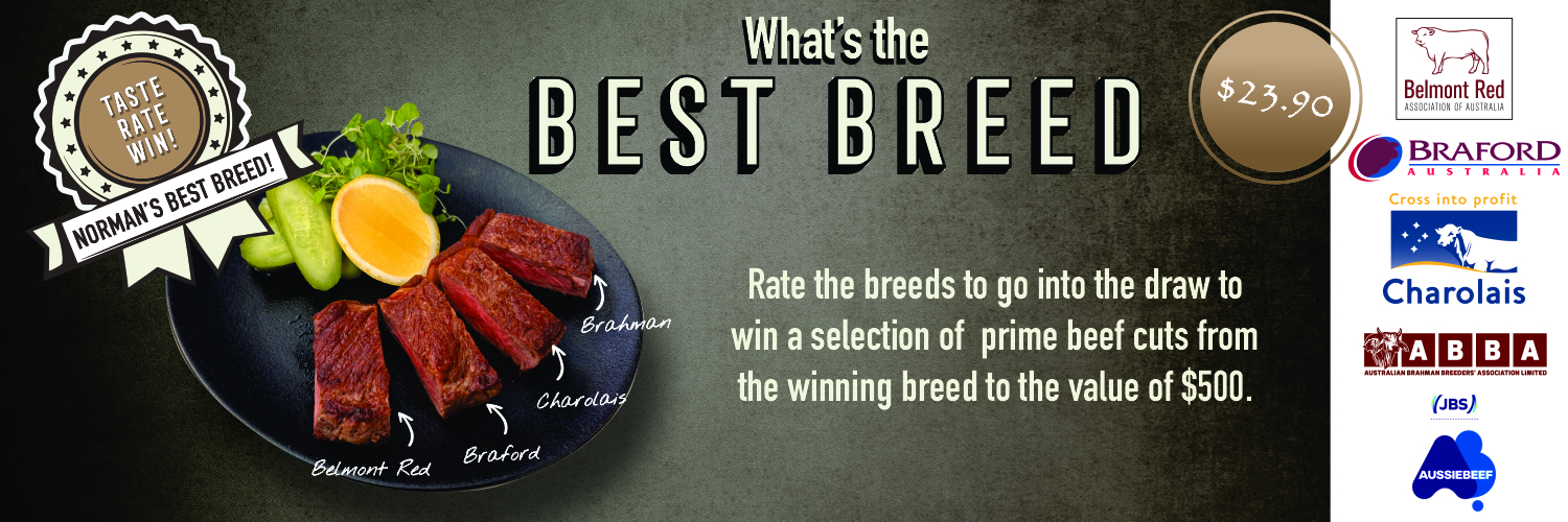 Norman's Best Breed 2026. This year we judge Belmont Red, Braford, Charolais and Brahman