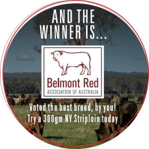 Belmont Red, Winner of Norman's Best Breed