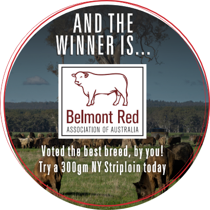 Belmont Red, Winner of Norman's Best Breed
