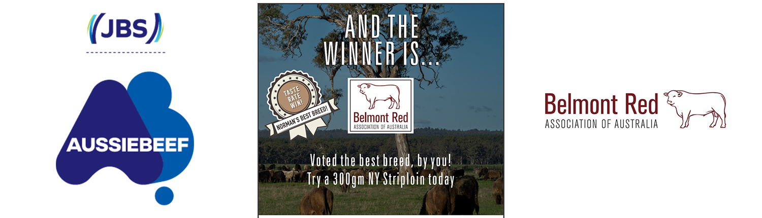 Belmont Red, winner of Normans Best Breed competition