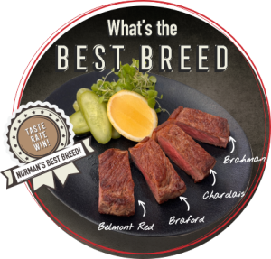 What's the best breed